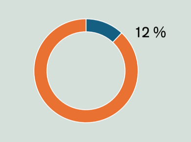 Ympyräkaavio. Sininen alue vastaa 12 prosenttia. Loput oranssia.