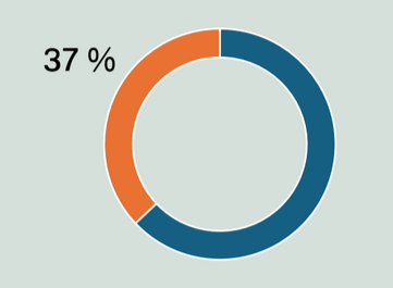 Ympyräkaavio. Oranssi alue vastaa 37 prosenttia. Loput sinistä.