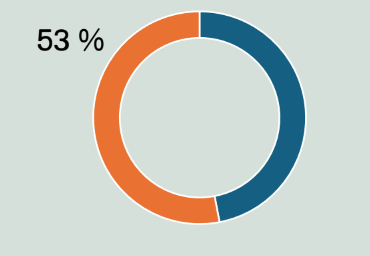 Ympyräkaavio. Oranssi alue vastaa 53 prosenttia. Loput sinistä.